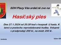 fotografie - Hasičský ples