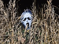 fotografie 34 / 50 - Halloween 2024