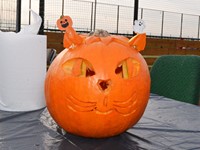 fotografie 25 / 50 - Halloween 2024