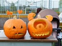 fotografie 29 / 50 - Halloween 2024