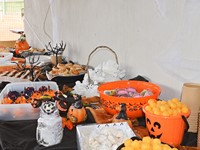fotografie 6 / 50 - Halloween 2024
