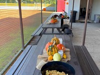 fotografie 14 / 26 - Halloween 2025