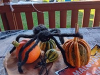 fotografie 4 / 26 - Halloween 2025