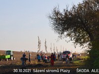 fotogalerie - Sázení stromů