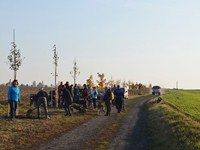 fotografie 16 / 62 - Sázení stromů