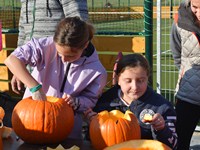 fotografie 20 / 32 - Halloweenské vydlabávání dýní - fotografie