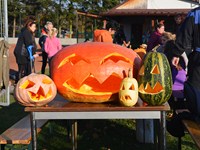 fotografie 28 / 32 - Halloweenské vydlabávání dýní - fotografie