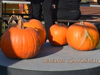 fotografie 1 / 32 - Halloweenské vydlabávání dýní - fotografie